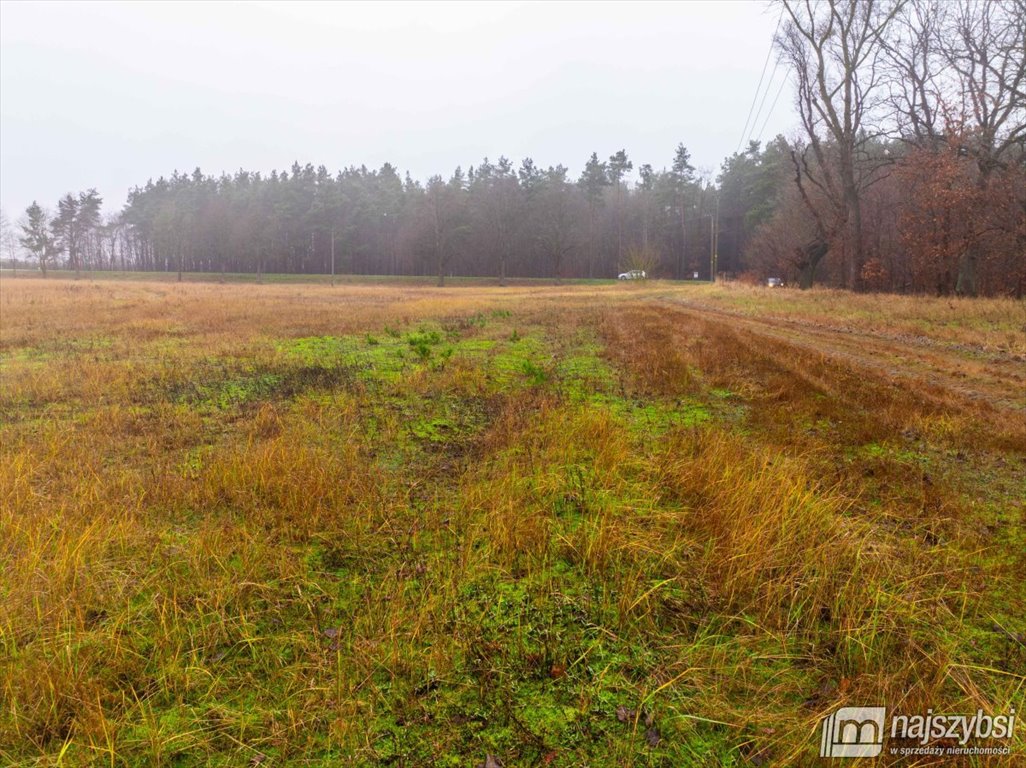 Działka inna na sprzedaż Nowogard, obrzeża  8 137m2 Foto 13