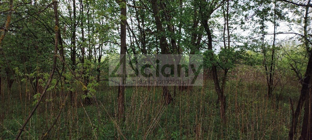 Działka 999 m² pod dom w Stanisławowie Drugi - zapraszam Stanisławów Drugi  999m2 Foto 1