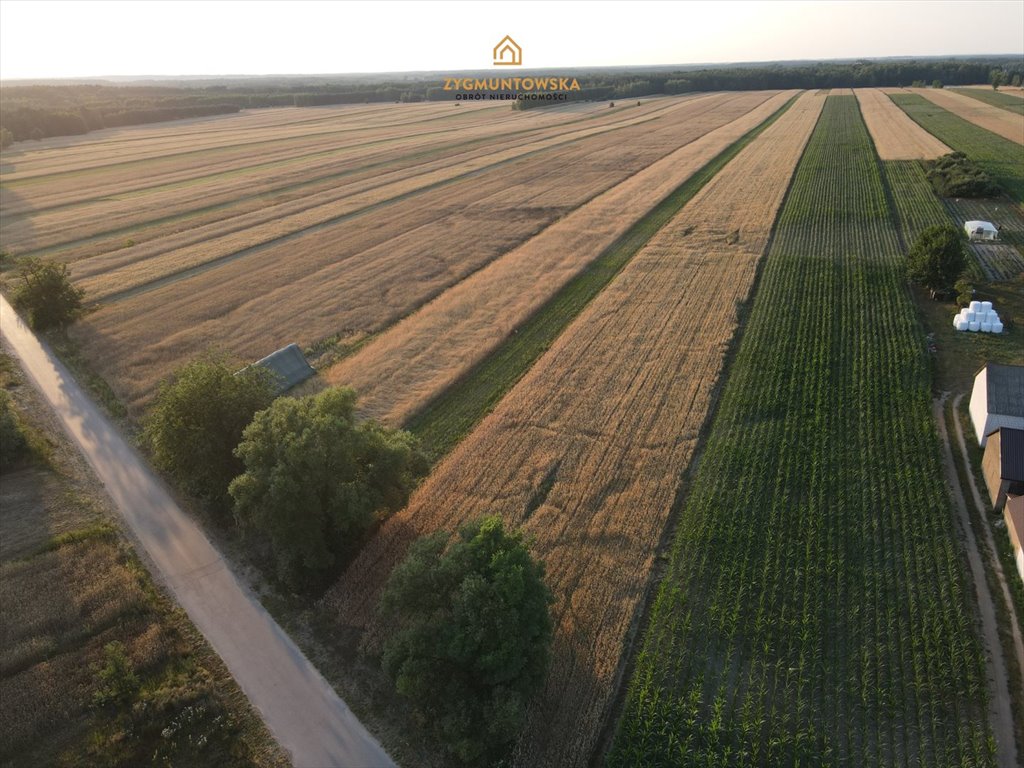 Działka inna na sprzedaż Rusinów, Wola Gałecka  29 800m2 Foto 4