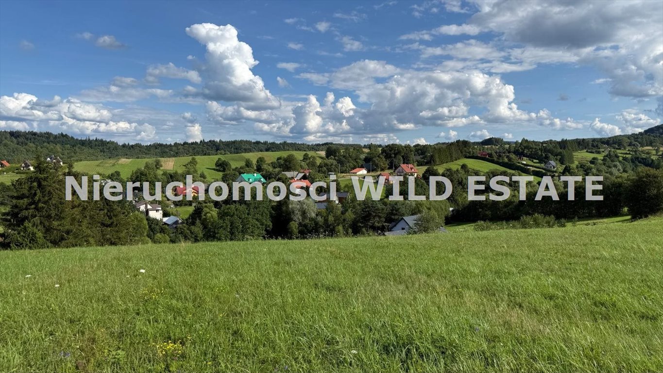 Zdjęcie 7