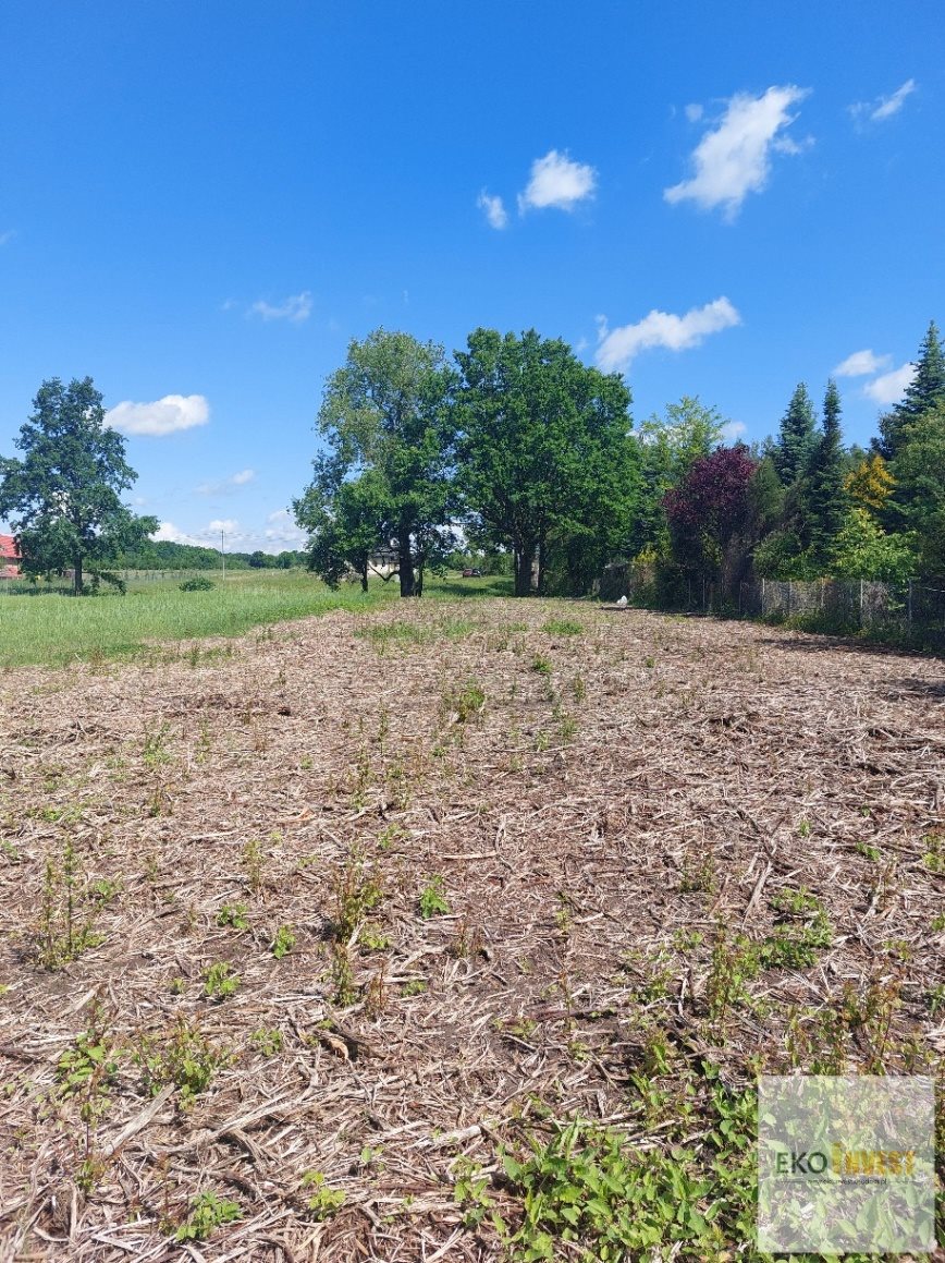 Działka rekreacyjna na sprzedaż Pomiechówek, Pomiechówek  3 100m2 Foto 4