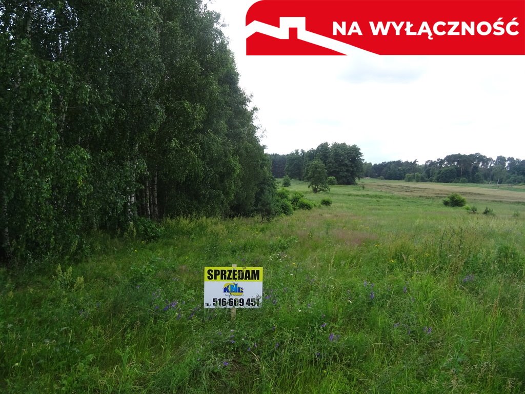 Działka budowlana na sprzedaż Kałek  7 232m2 Foto 1