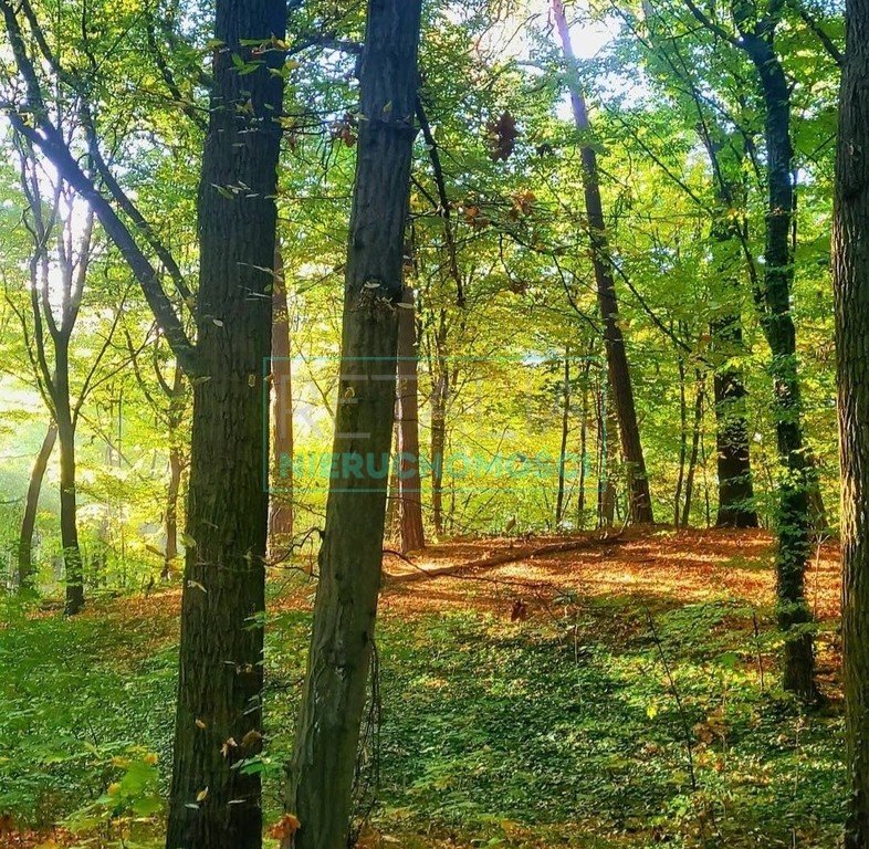 Działka leśna z prawem budowy na sprzedaż Milanówek  2 400m2 Foto 5