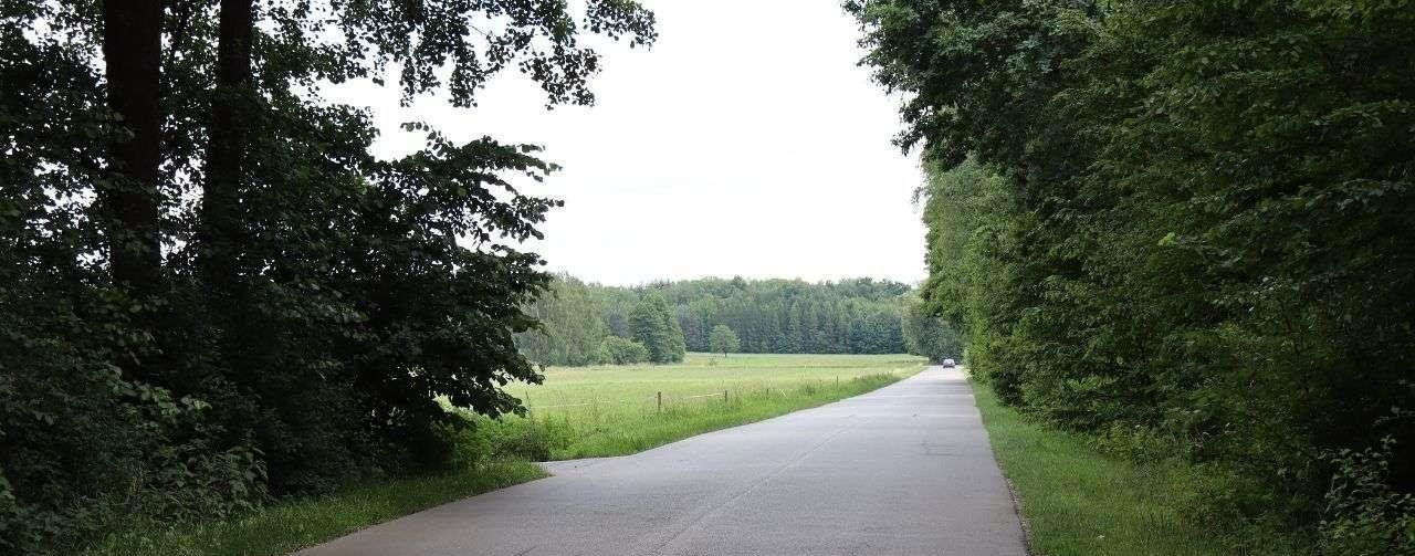 Działka siedliskowa na sprzedaż Czepielin-Kolonia  1 650m2 Foto 5