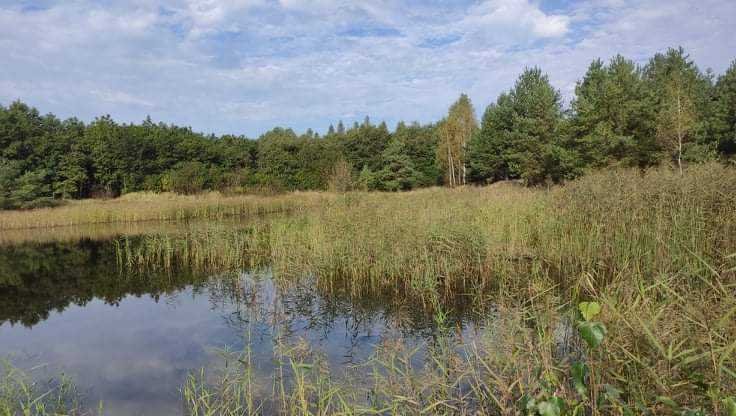 Działka inna na sprzedaż Szprotawa, Sieraków  68 701m2 Foto 12