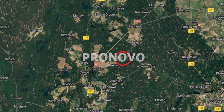 Polecam działkę rolną 3,6 ha z lasami i stawami w Bukowie Bukowo  36 000m2 Foto 1