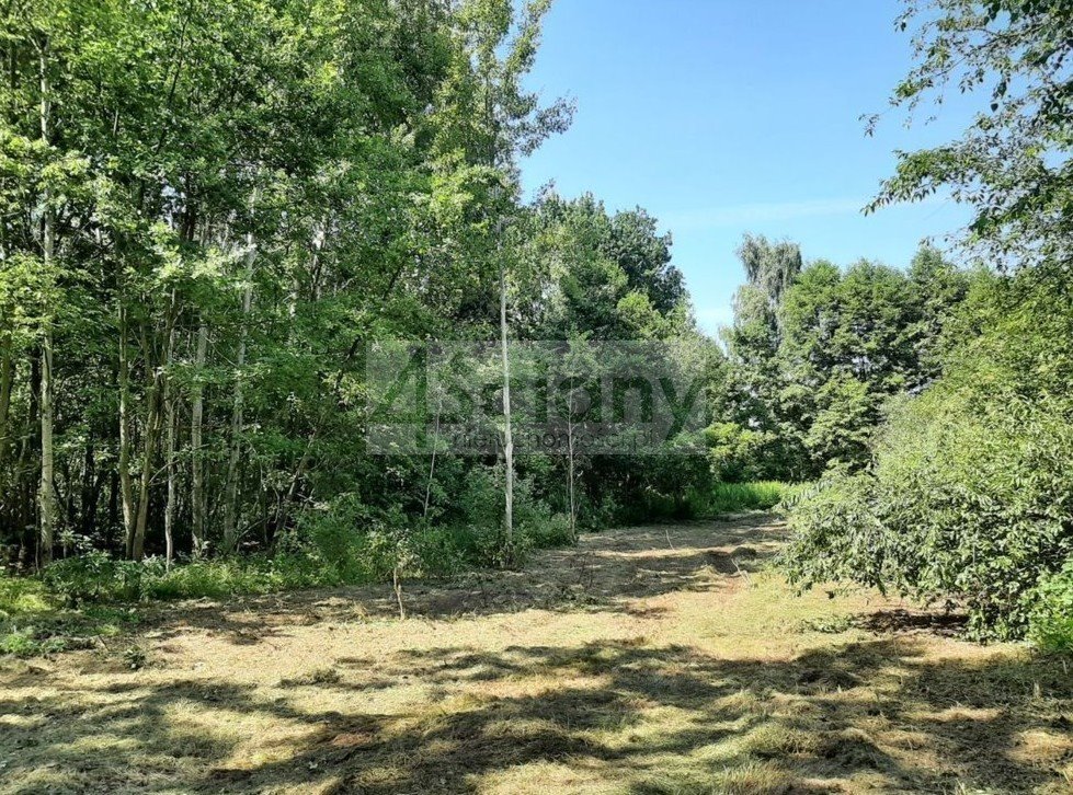 Działka 1535 m² w otulinie lasu, prąd, woda, plan zagospodarowania Kady  1 535m2 Foto 1