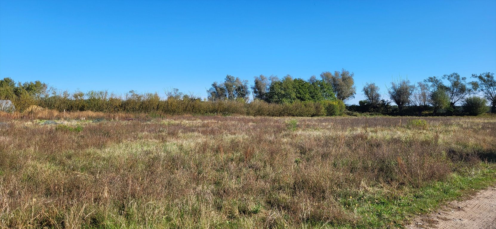 Działka inna na sprzedaż Grudziądz  1 500m2 Foto 7