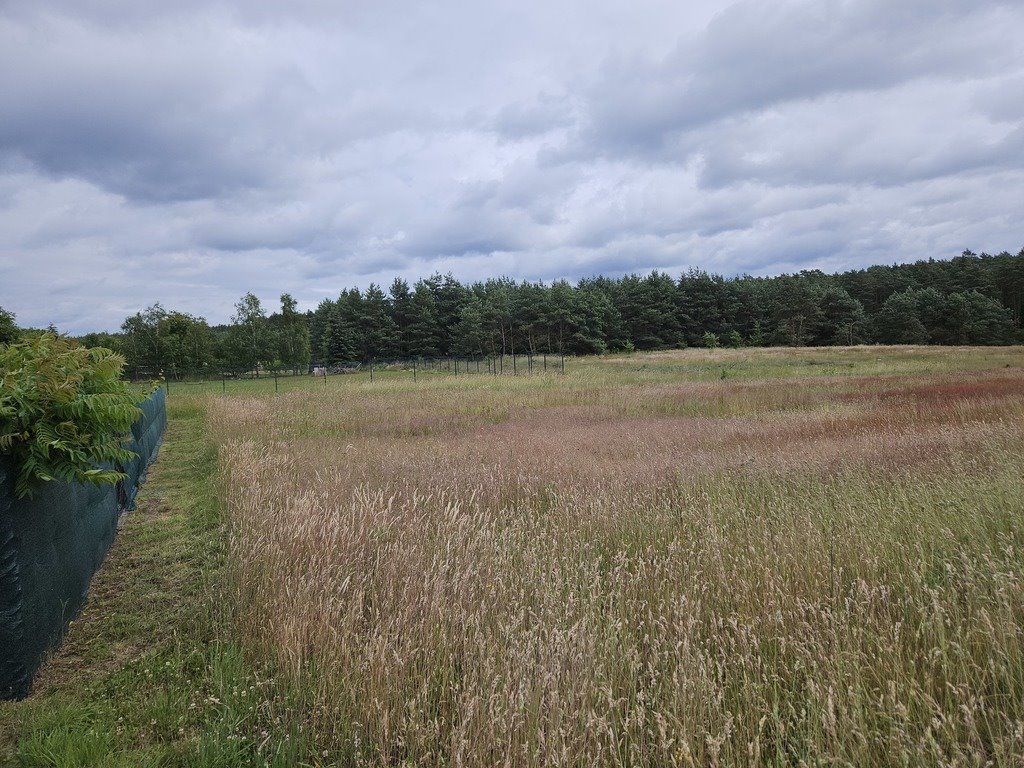 Działka budowlana na sprzedaż Klepin  1 204m2 Foto 12