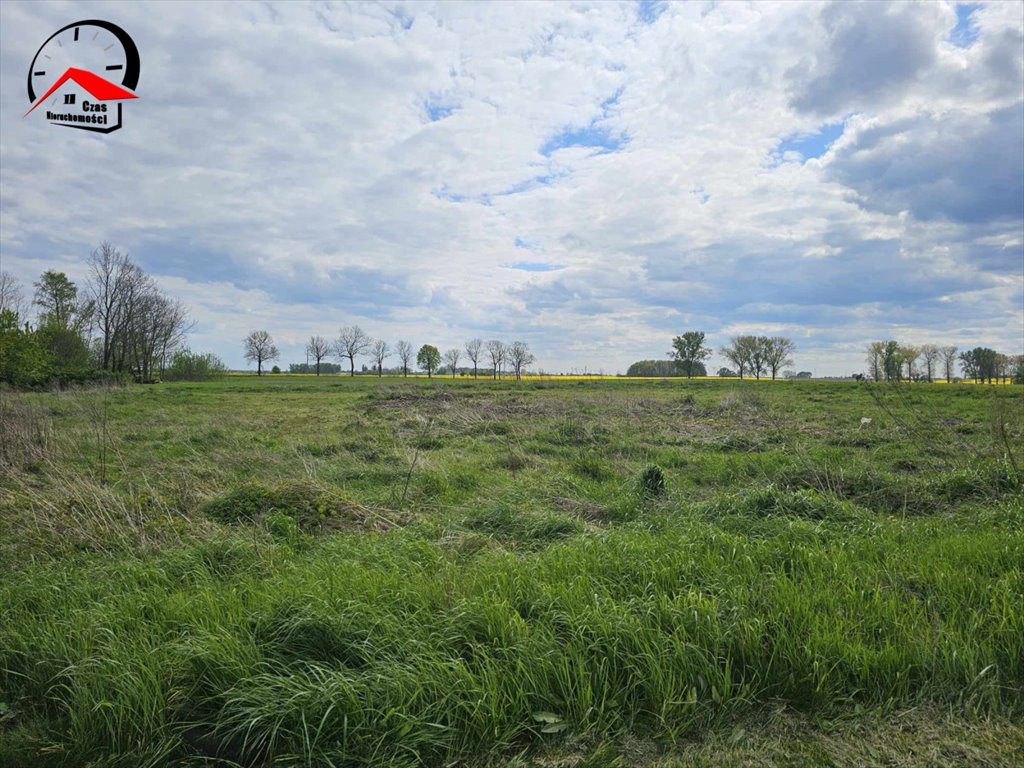 Działka budowlana na sprzedaż Kamieniec  3 930m2 Foto 1