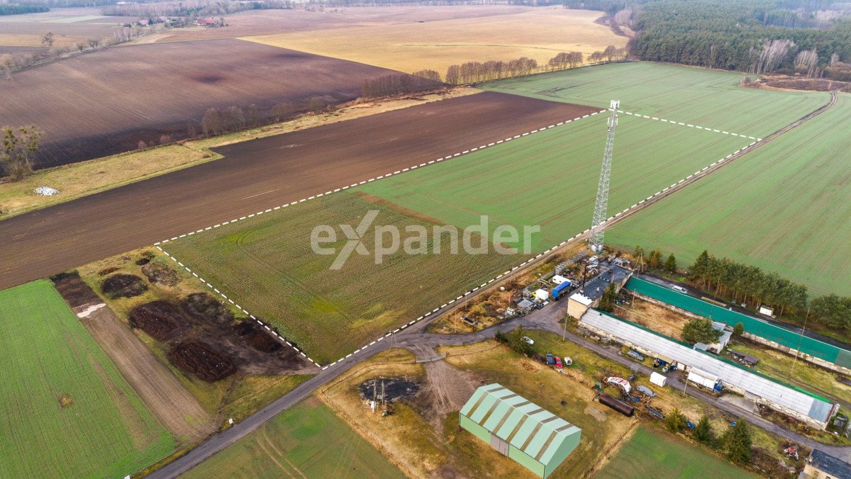 Działka budowlana na sprzedaż Miłocice  40 000m2 Foto 1