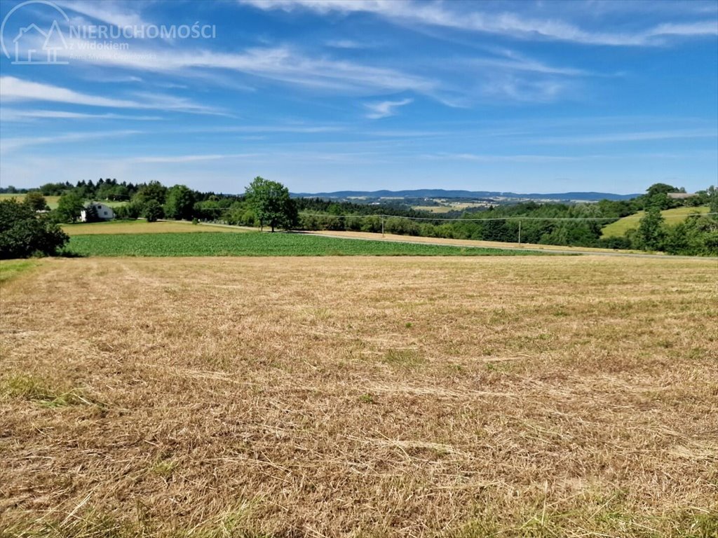 Działka budowlana na sprzedaż Turza  2 400m2 Foto 2