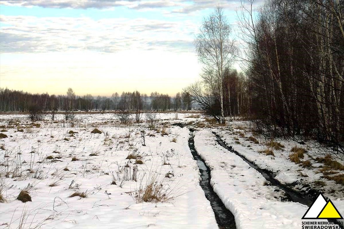 Działka budowlana na sprzedaż Orłowice, Orłowice  2 700m2 Foto 5