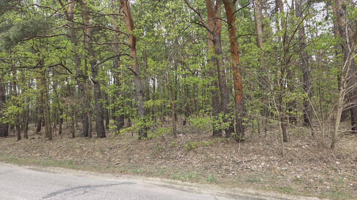 Sprzedam działkę 4700 m² z lasami i łąkami w Popielżynie Popielżyn-Zawady, Popielżyn Zawady  4 700m2 Foto 1