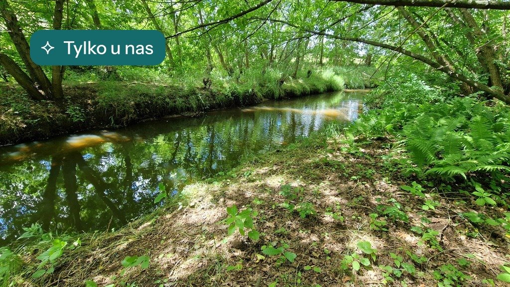 Działka 2740 m² przy rzecze z domkiem - zapraszam Częstochowa, Stradom, Królewska  2 740m2 Foto 1