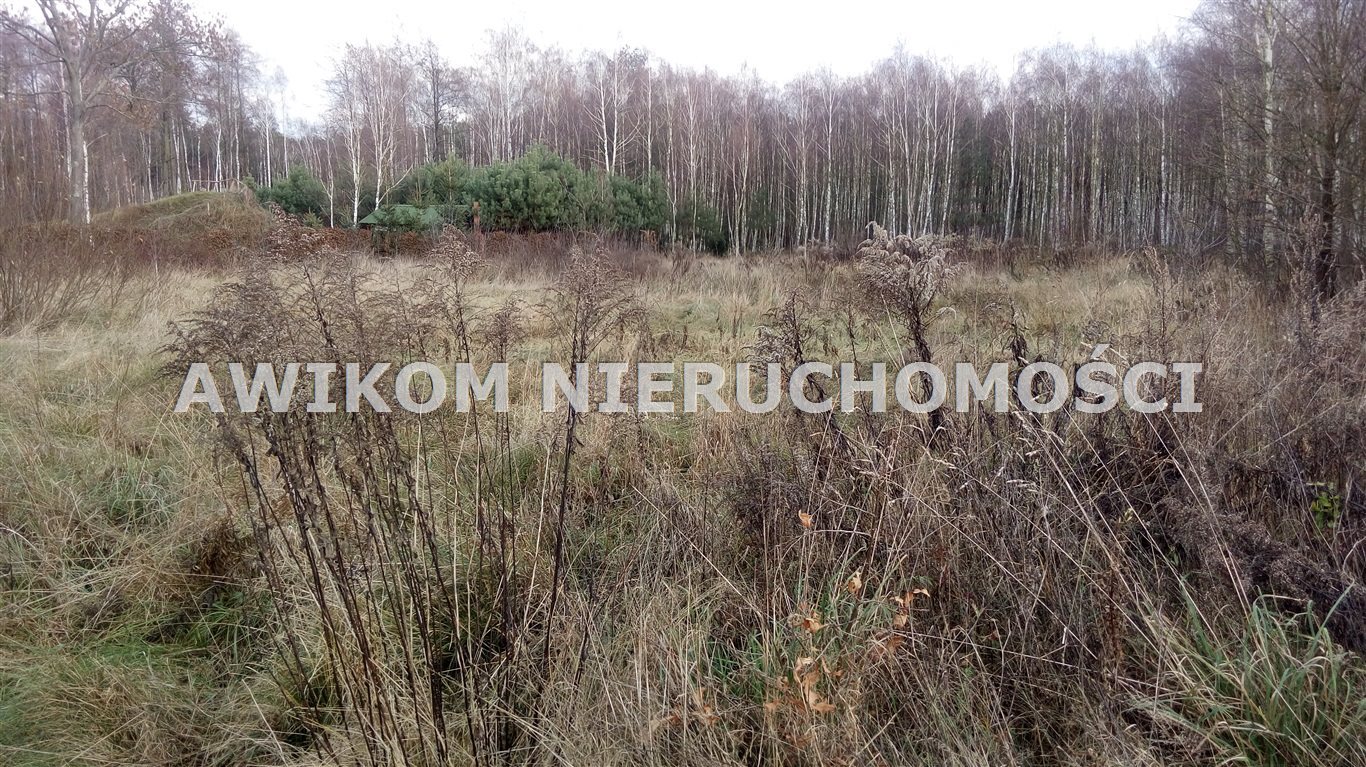 Zapraszam do obejrzenia działki 2106 m² przy drodze asfaltowej Pęcice  2 000m2 Foto 1
