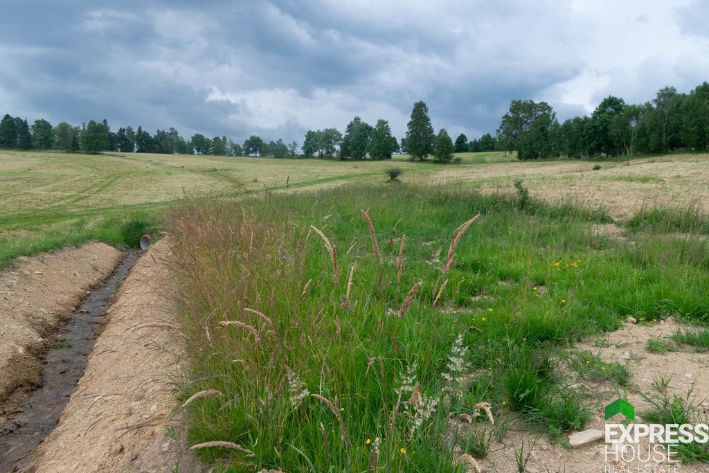 Działka budowlana na sprzedaż Stronie Śląskie, Polna  2 617m2 Foto 10