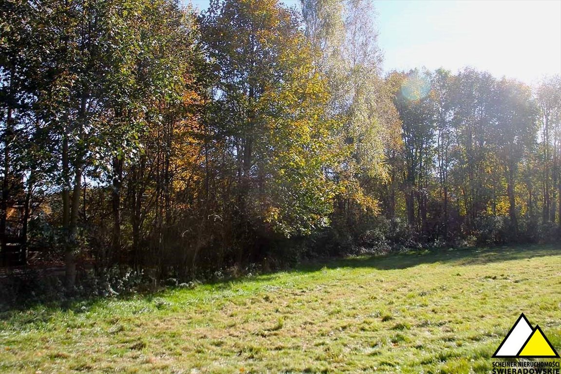 Działka budowlana na sprzedaż Antoniów, Antoniów  2 000m2 Foto 3