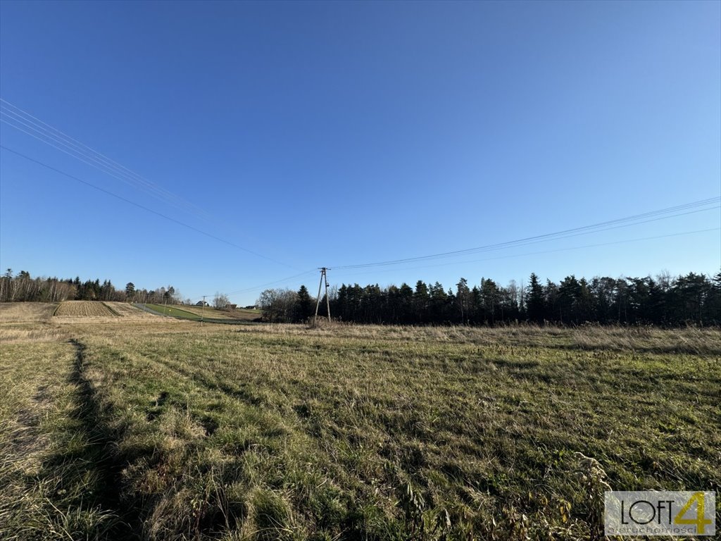 Działka budowlana na sprzedaż Polichty  3 000m2 Foto 3