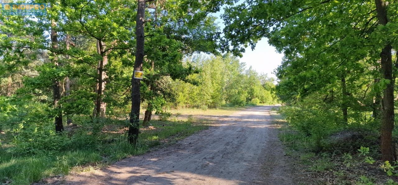 Działka rolna na sprzedaż Okuniew  1 230m2 Foto 7