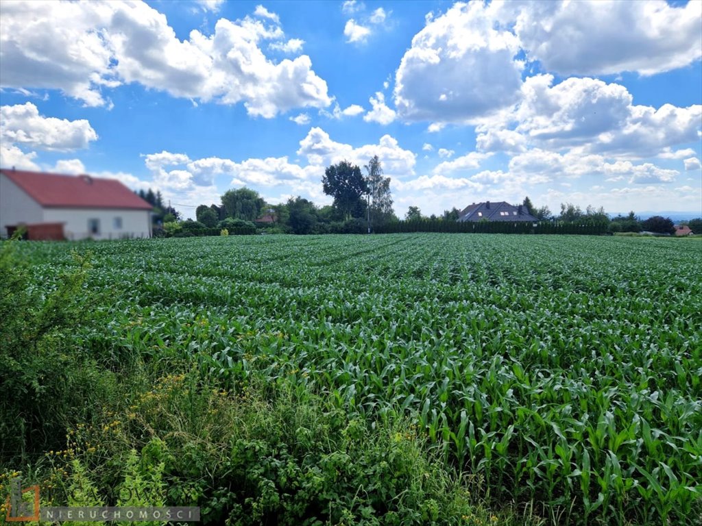 Zdjęcie 4