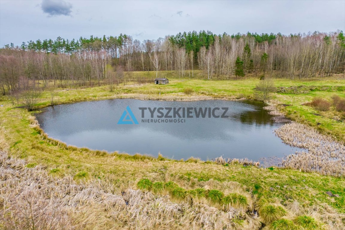 Działka rolna na sprzedaż Zielin  59 900m2 Foto 12