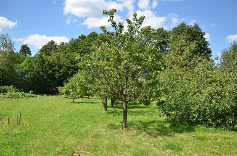 Działka budowlana na sprzedaż Krakowiany, Krakowiańska 2 700m2 Foto 1 Działka budowlana na sprzedaż Krakowiany, Krakowiańska 2 700m2 Foto 1