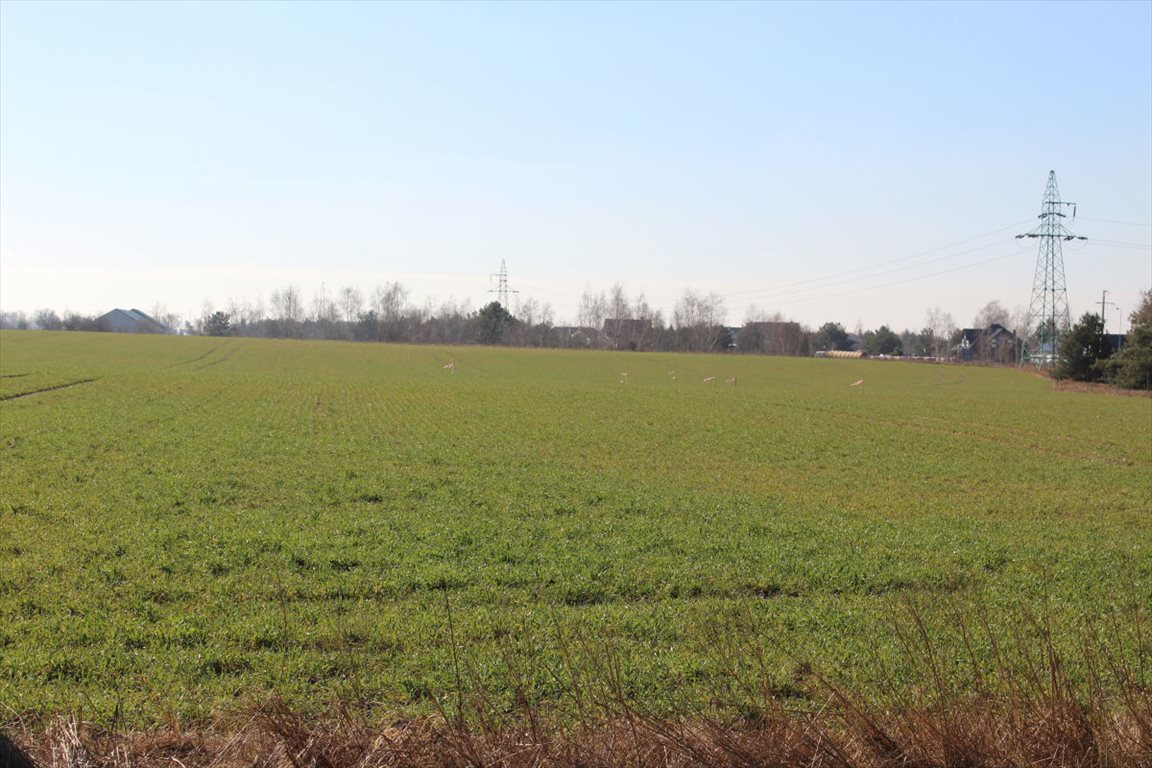 Działka przemysłowo-handlowa na sprzedaż Sława  2 000m2 Foto 1