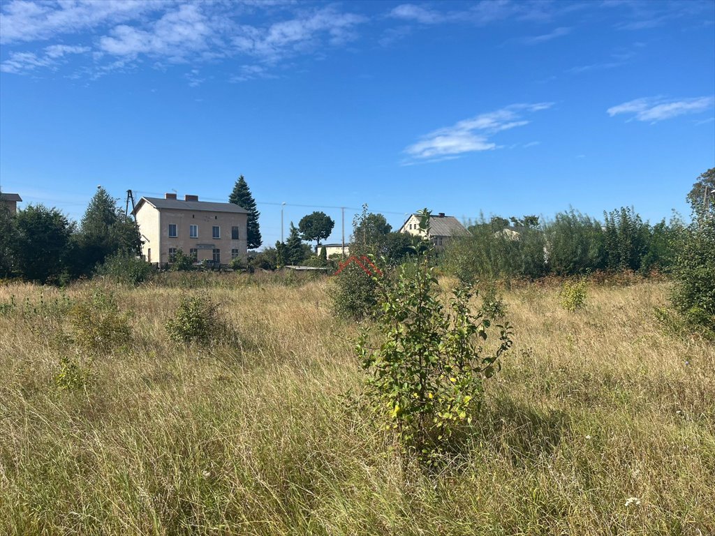 Działka rolna na sprzedaż Najmowo, najmowo  16 000m2 Foto 6