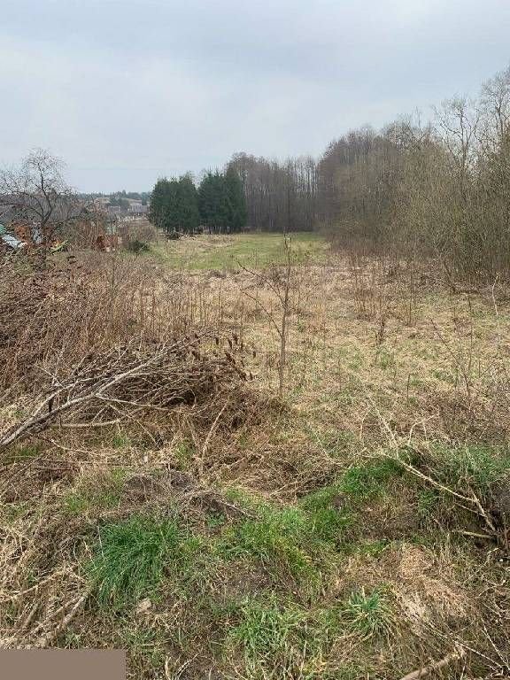 Działka 3900 m² z lasem w Studziankach – inwestycja Studzianki  3 900m2 Foto 1