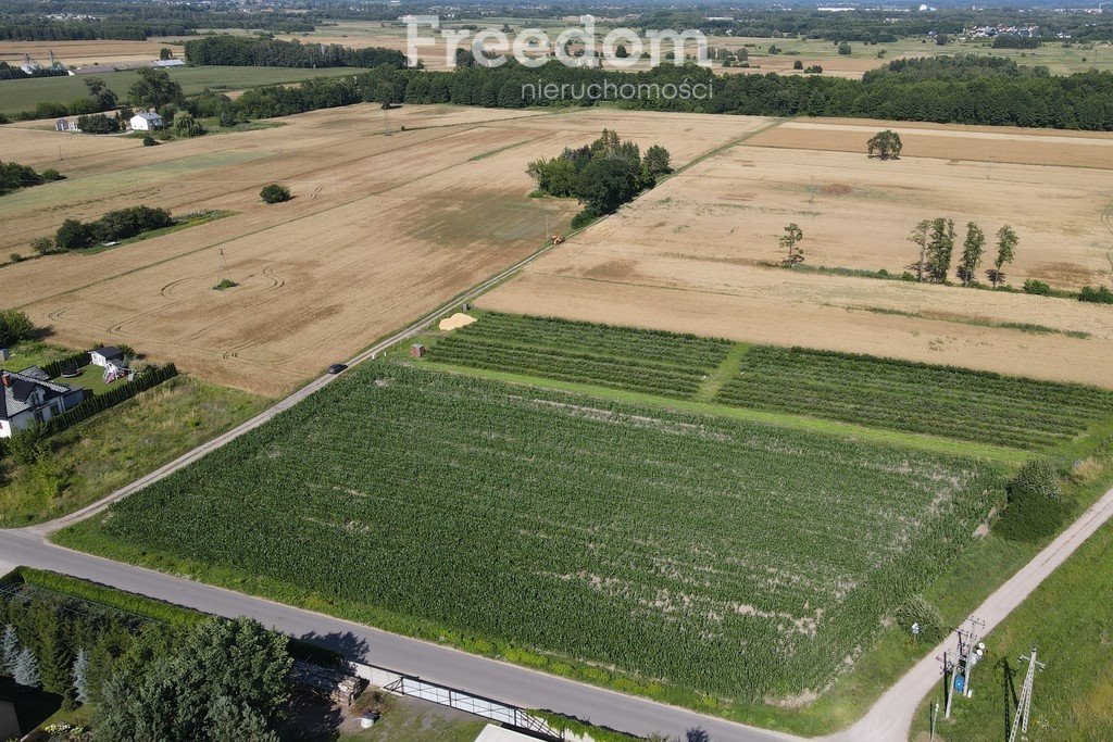 Działka budowlana na sprzedaż Nowe Iganie, Polna  6 567m2 Foto 4