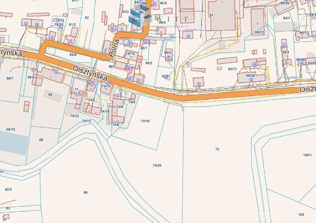 Zdjęcie 5
