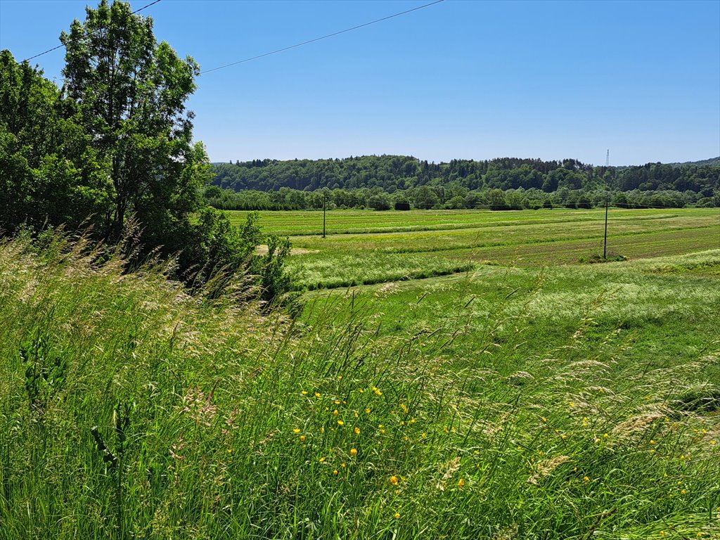 Działka rolna na sprzedaż Ulucz  529m2 Foto 4