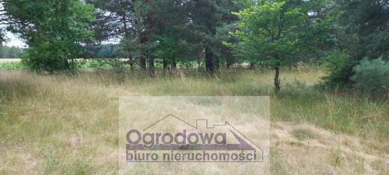Działka siedliskowa 6 472 m² z projektem i pozwoleniem Nowy Kębłów  6 472m2 Foto 1