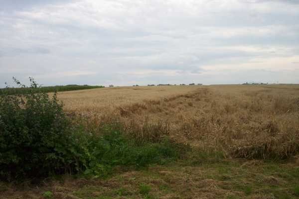 Działka rolna na sprzedaż ok. Trzebnicy, Polna 80 000m2 Foto 1 Działka rolna na sprzedaż ok. Trzebnicy, Polna 80 000m2 Foto 1