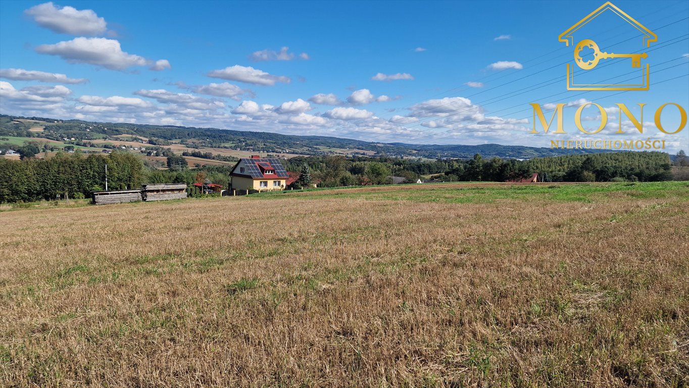 Działka budowlana na sprzedaż Buchcice  9 100m2 Foto 13