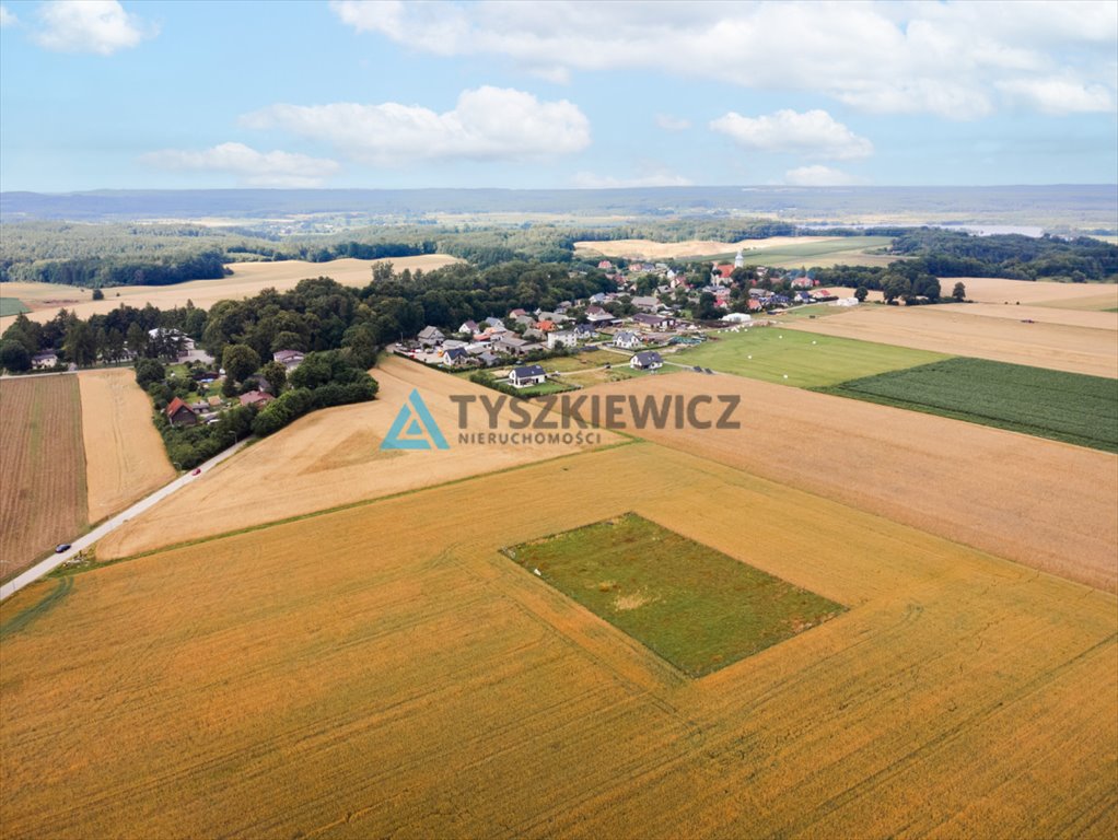 Działka budowlana na sprzedaż Góra, Słowińska  3 081m2 Foto 3