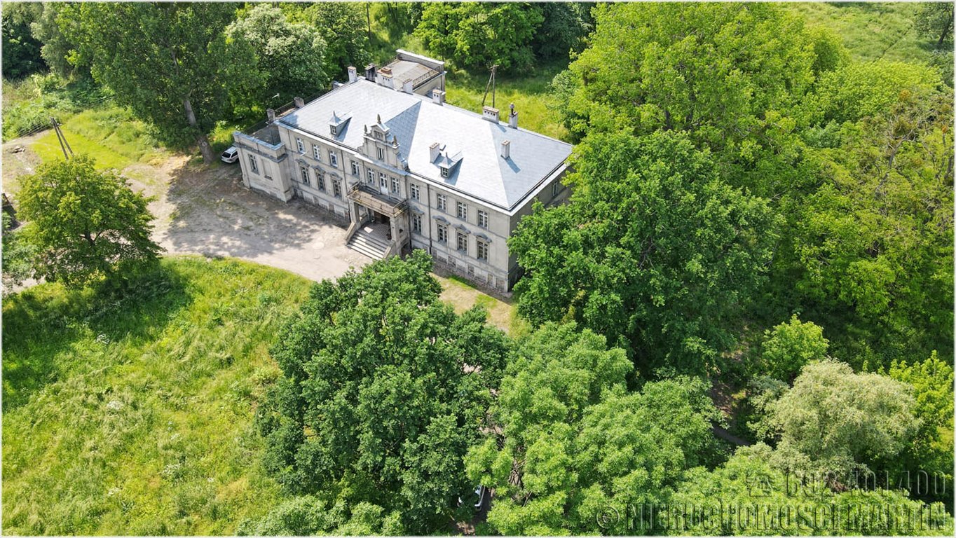 Zabytkowy pałac w Niegolewie z 1896 r. na 17 ha działce Niegolewo  800m2 Foto 1