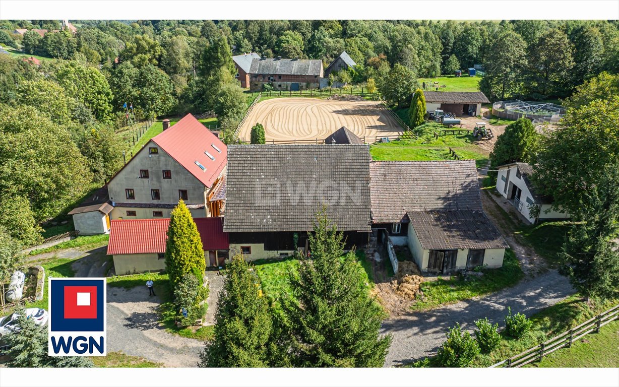 Działka siedliskowa na sprzedaż Marczów, Centrum  25 000m2 Foto 4