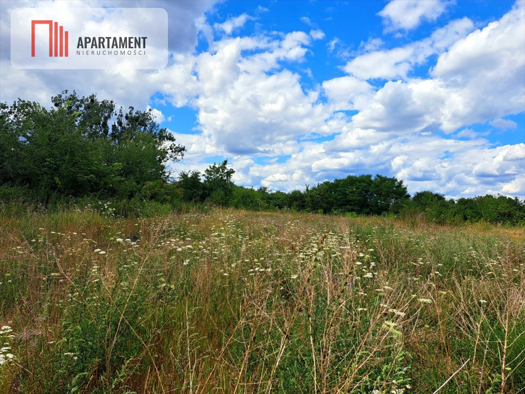 Działka przemysłowo-handlowa na sprzedaż Wielowieś  20 063m2 Foto 5