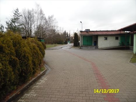 Lokal użytkowy na sprzedaż Żółwin, Żółwin  1 498m2 Foto 3