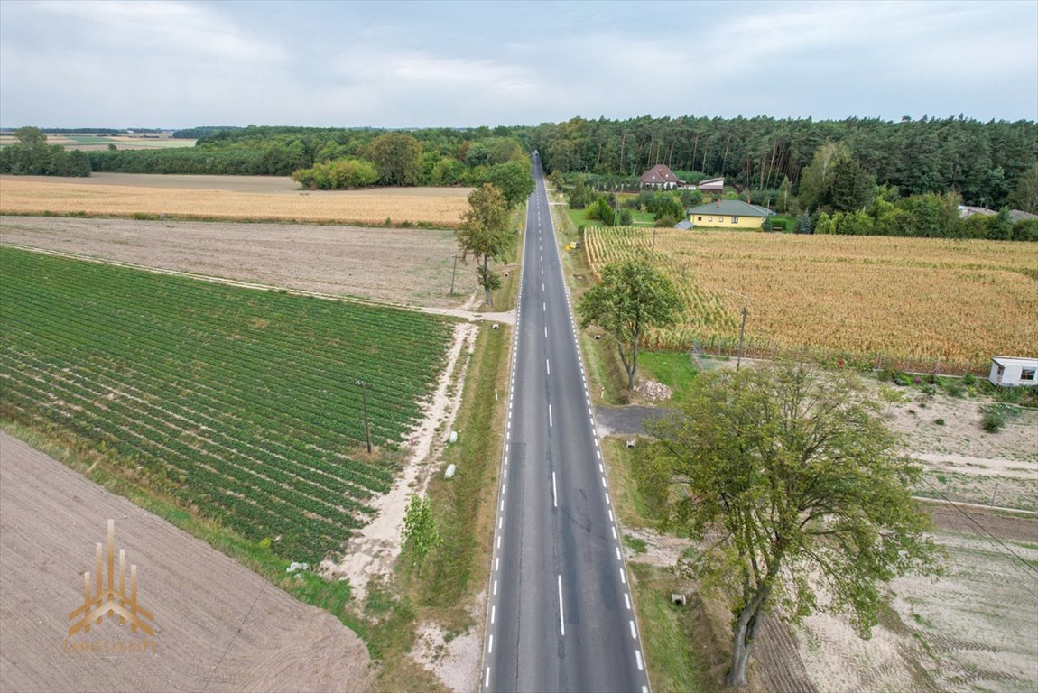 Działka przemysłowo-handlowa na sprzedaż Topólno, Muchowo  20 200m2 Foto 12