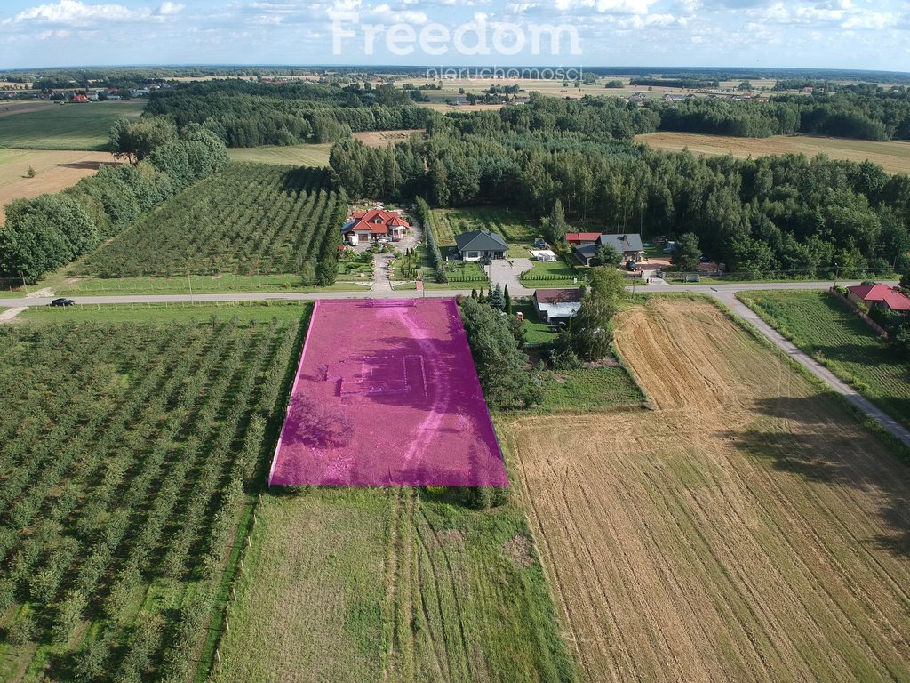 Działka inna na sprzedaż Filipinów  3 000m2 Foto 7