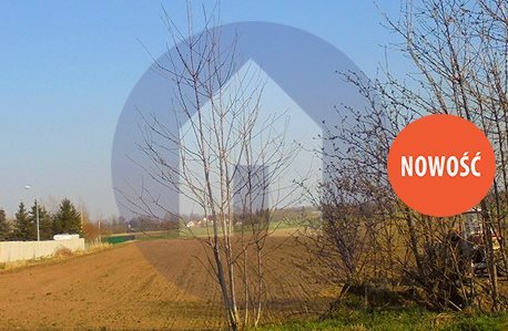 Działka budowlana na sprzedaż Pieszyce, Piskorzów 2 000m2 Foto 1 Działka budowlana na sprzedaż Pieszyce, Piskorzów 2 000m2 Foto 1