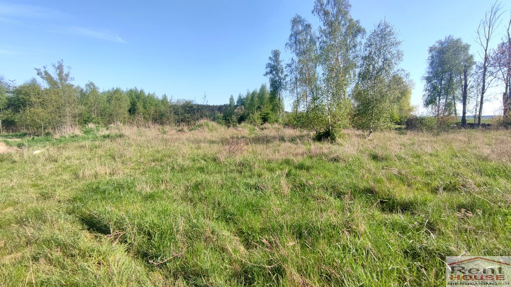 Działka 916 m² z warunkami zabudowy, las, cisza - polecam Sławoszewo  916m2 Foto 1