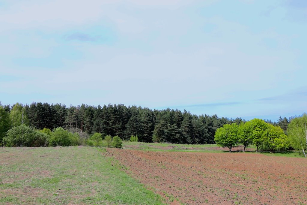 Działka budowlana na sprzedaż Lublewo Gdańskie  2 000m2 Foto 1