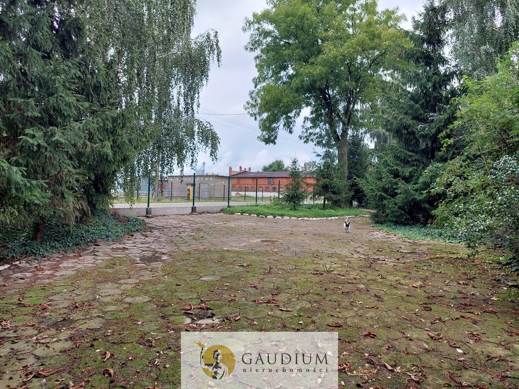 Magazyn na sprzedaż Martąg  1 500m2 Foto 19