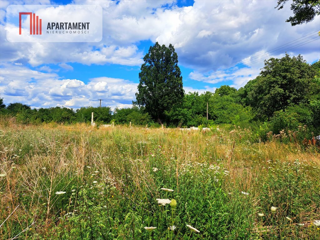 Działka budowlana na sprzedaż Wielowieś  3 001m2 Foto 4