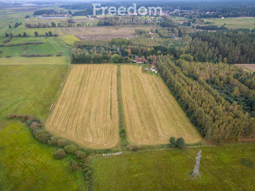 Działka rolna na sprzedaż Wrzesina  3 300m2 Foto 2