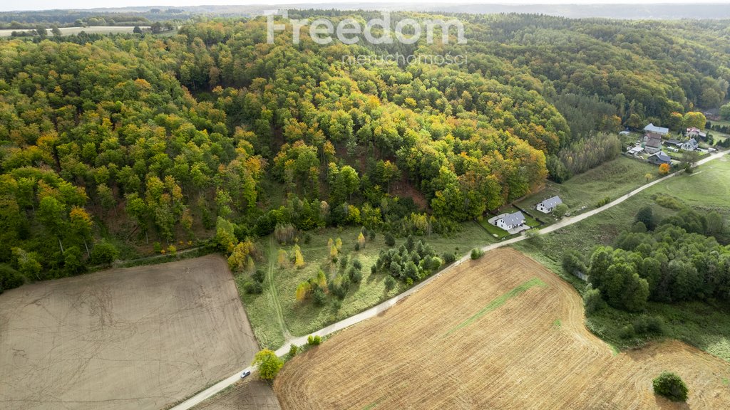 Działka budowlana na sprzedaż Klonowo Dolne, Głęboka  9 739m2 Foto 1